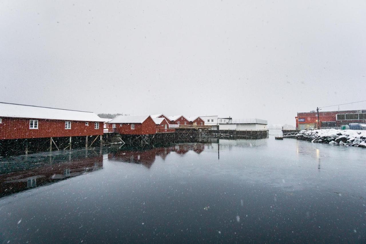 Lofoten Cabin And Kayak Rental Stamsund Εξωτερικό φωτογραφία