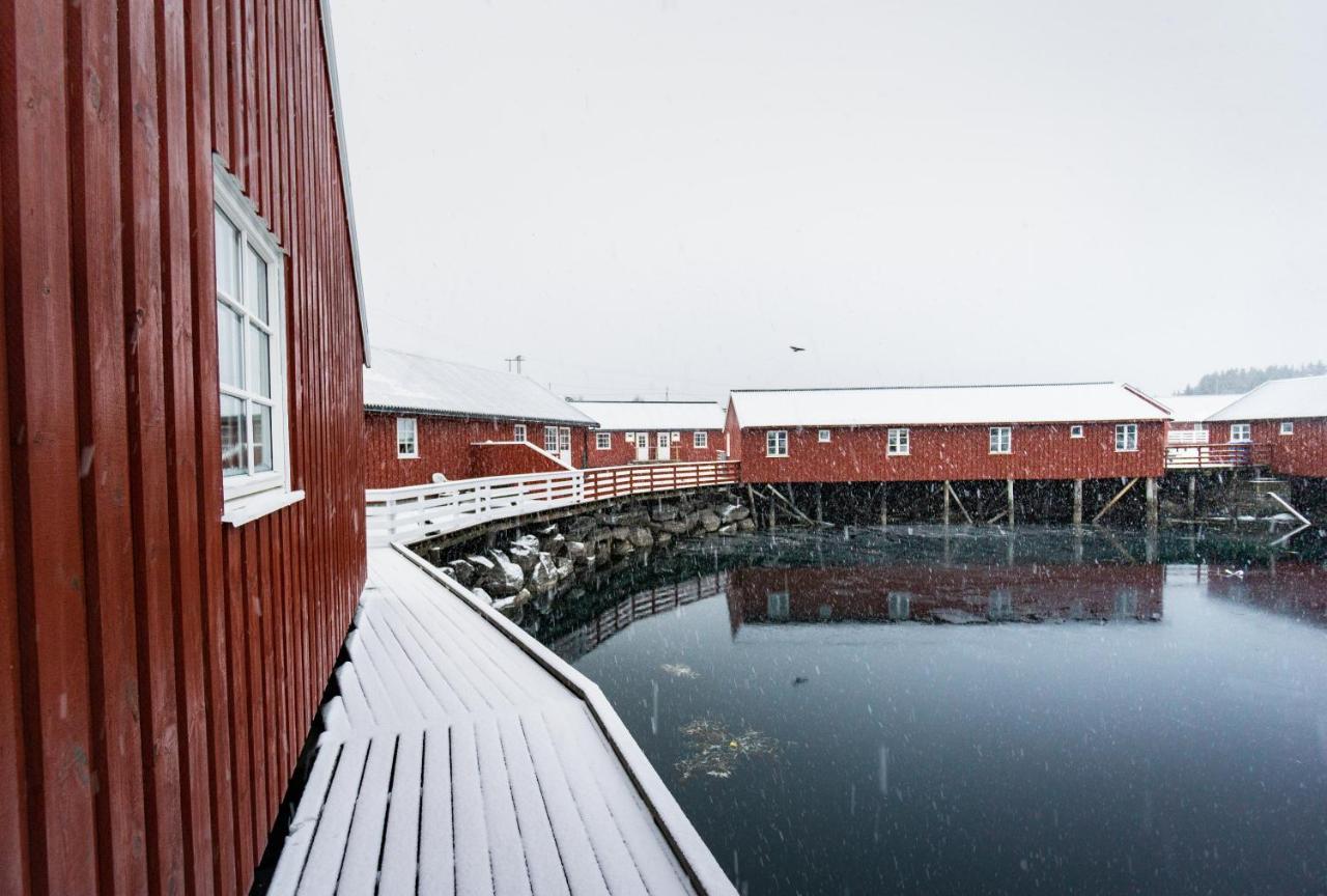 Lofoten Cabin And Kayak Rental Stamsund Εξωτερικό φωτογραφία