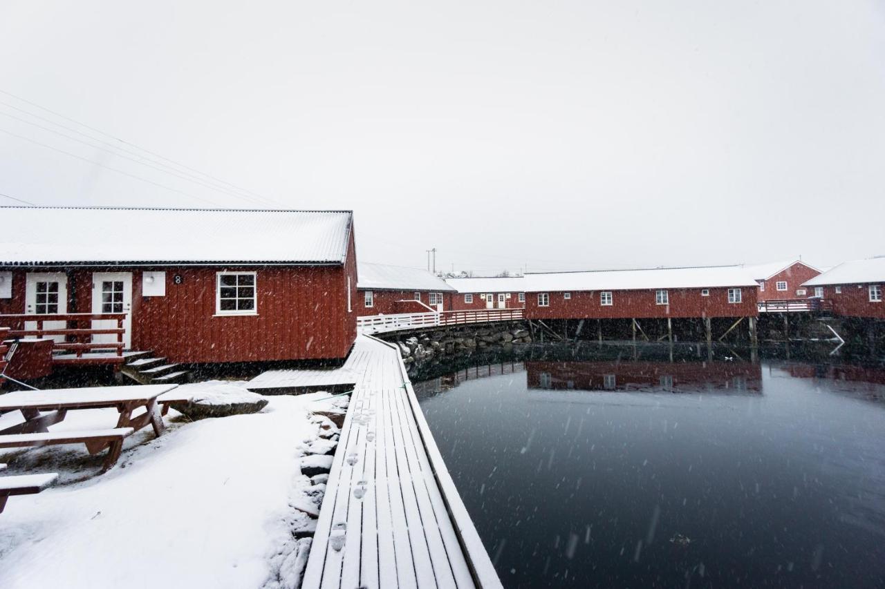 Lofoten Cabin And Kayak Rental Stamsund Εξωτερικό φωτογραφία